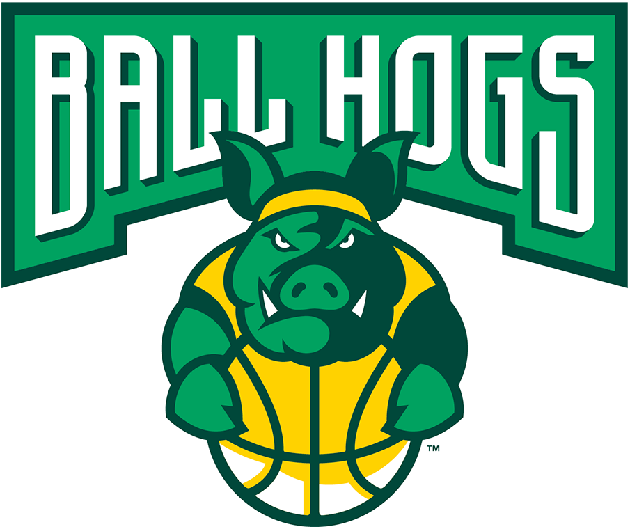Ball Hogs 2017-Pres Primary Logo iron on heat transfer
